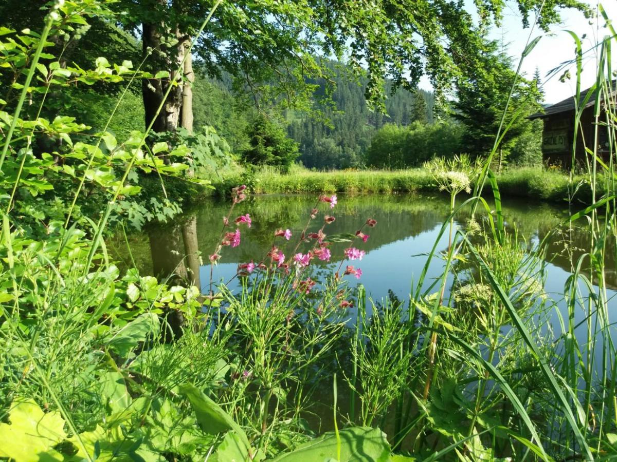 Zbojnicki Ostep-Nocleg Trapera Kletno Bagian luar foto